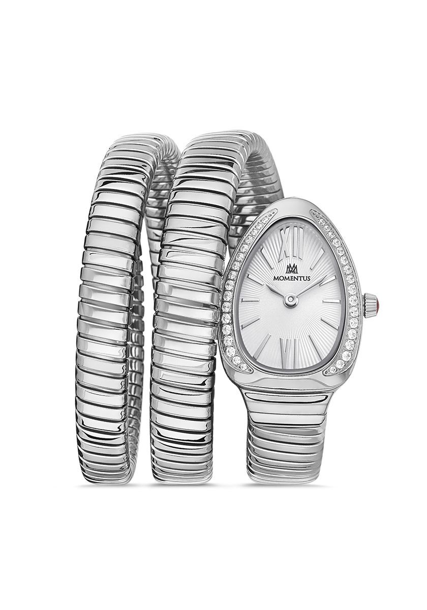 MOMENTUS SS256S-02SS