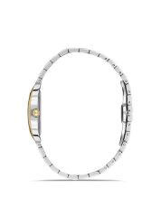 MOMENTUS CW310T-15SG