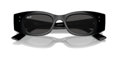 RAY-BAN RB4427 667787