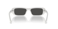 RAY-BAN RB4436D 677287
