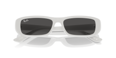 RAY-BAN RB4436D 677287