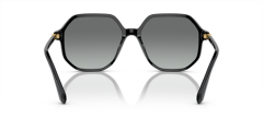 SWAROVSKI SK6003 100111