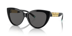 TIFFANY&CO. TF4196 8001S4