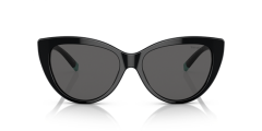 TIFFANY&CO. TF4196 8001S4