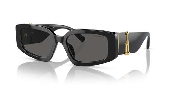 TIFFANY&CO. TF4208U 8001S4